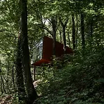 Senecon Des Bois 08