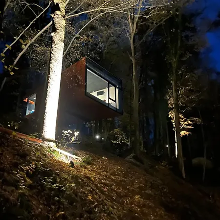 Senecon Des Bois 08 * La Roche-en-Ardenne