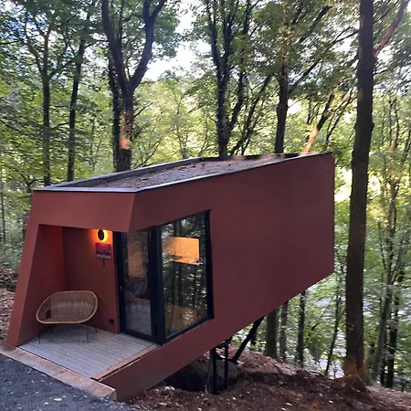 Séneçon Des Bois 08 *