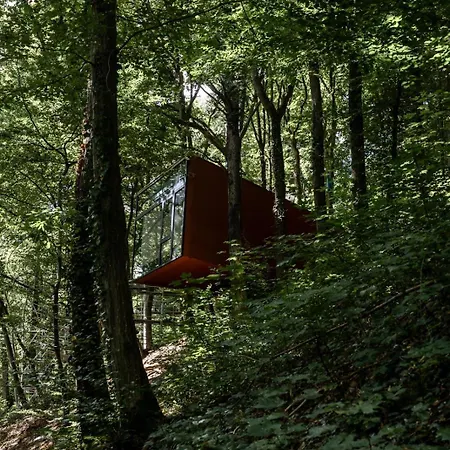 Séneçon Des Bois 08