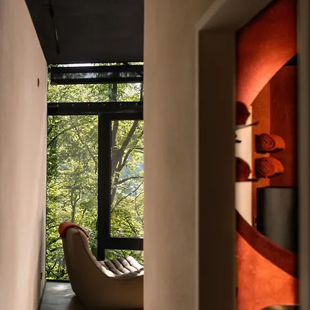 Senecon Des Bois 08 * La Roche-en-Ardenne