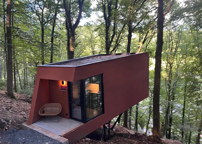 Séneçon Des Bois 08 *