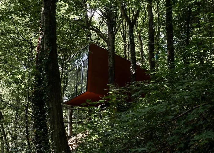 Séneçon Des Bois 08