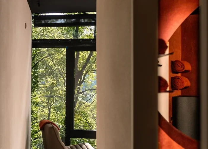 Séneçon Des Bois 08 * La-Roche-en-Ardenne