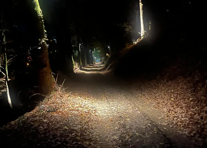 Senecon Des Bois 08 * La Roche-en-Ardenne